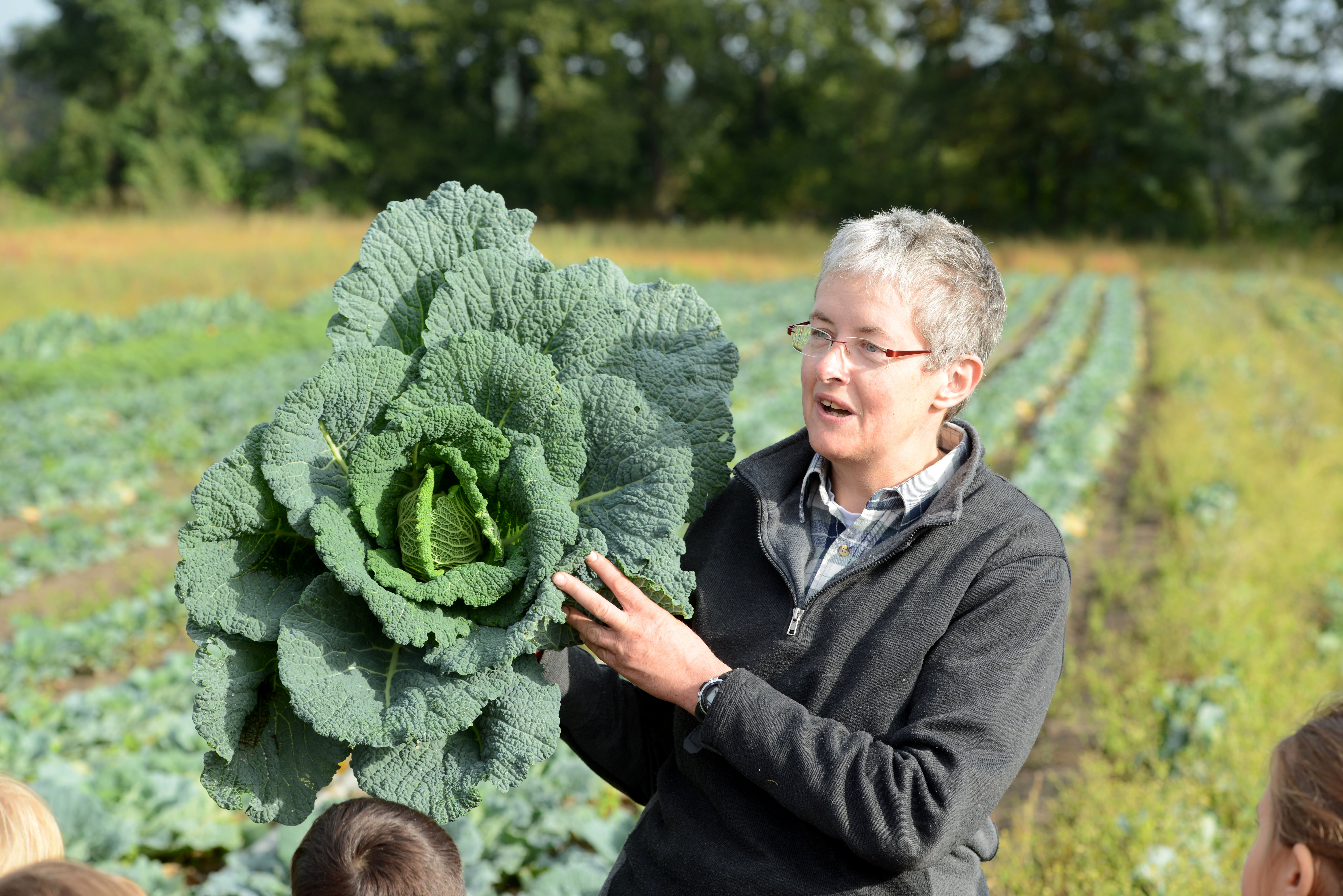 Slowfood Aktion Erntetag 25.09.2015 Knoblauchsland Nürnberg